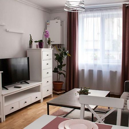 Ana Cristina Apartament Сигишоара Екстериор снимка