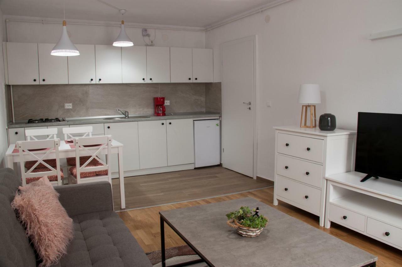 Ana Cristina Apartament Сигишоара Екстериор снимка