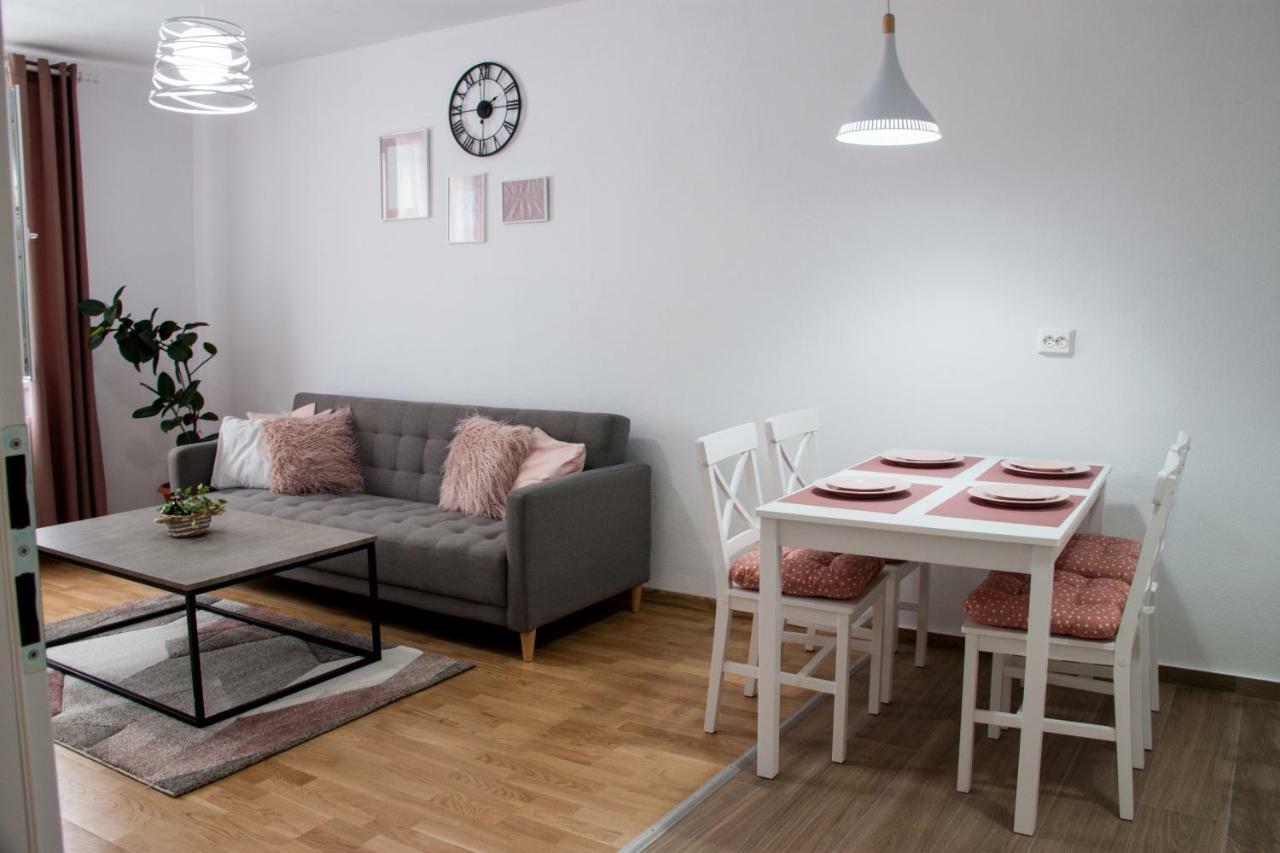 Ana Cristina Apartament Сигишоара Екстериор снимка