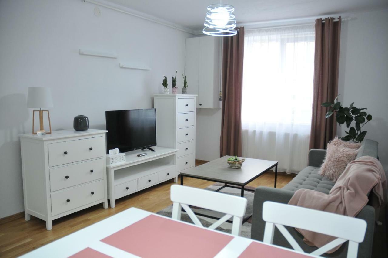 Ana Cristina Apartament Сигишоара Екстериор снимка
