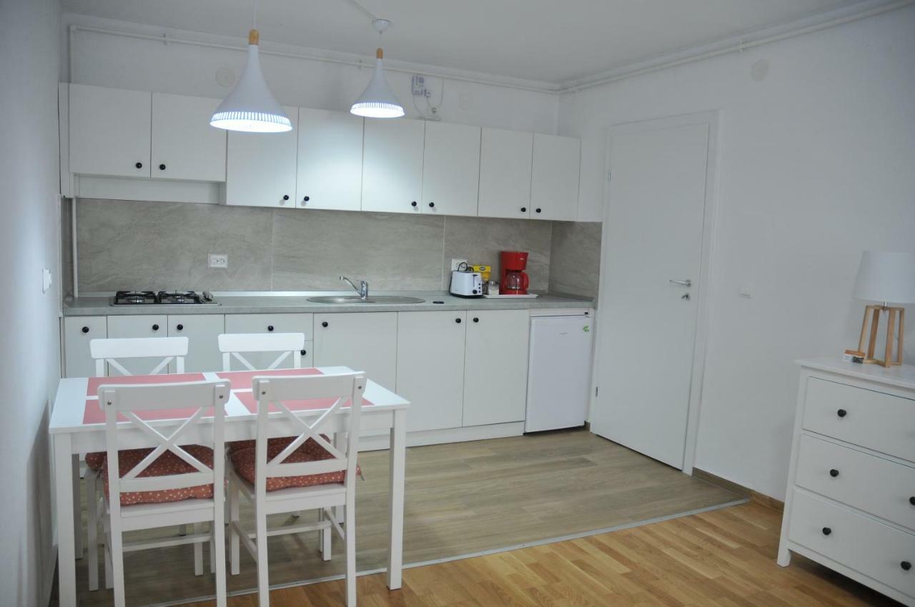 Ana Cristina Apartament Сигишоара Екстериор снимка
